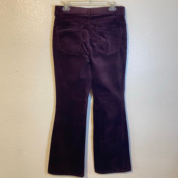 Democracy AbSolution Maroon Stretch High Rise Flare Bootcut Velvet Pants 12 - Picture 7 of 11